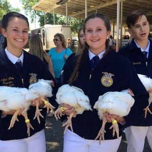 Meet your Posher, Madicyn